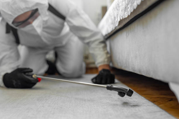 Professional Pest Control technician working in Robertson County County, TX